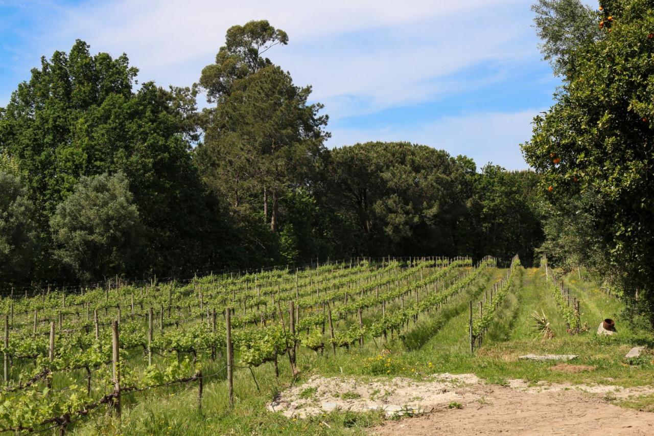Quinta De Chousas - Braga - Agroturismo Zewnętrze zdjęcie